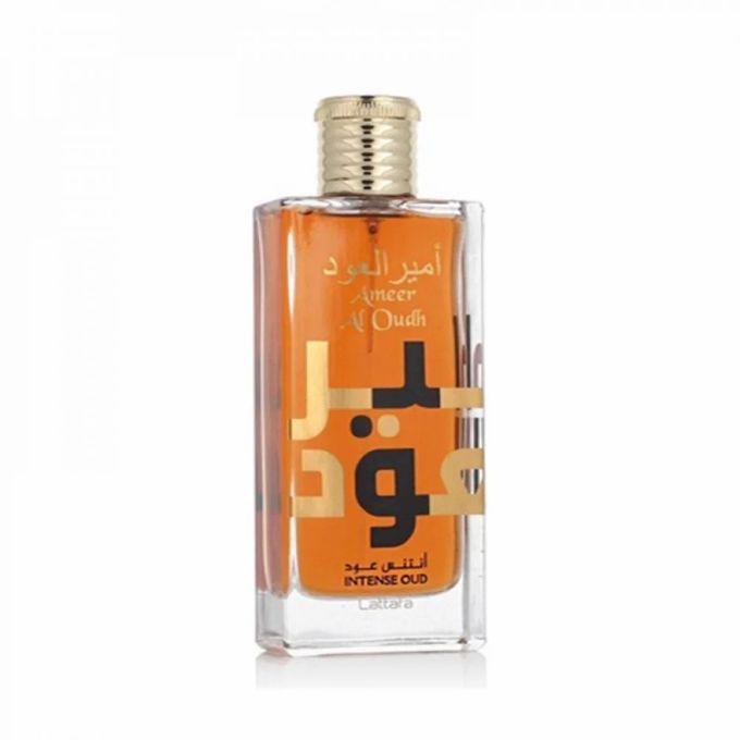 Amir El Oud Intense